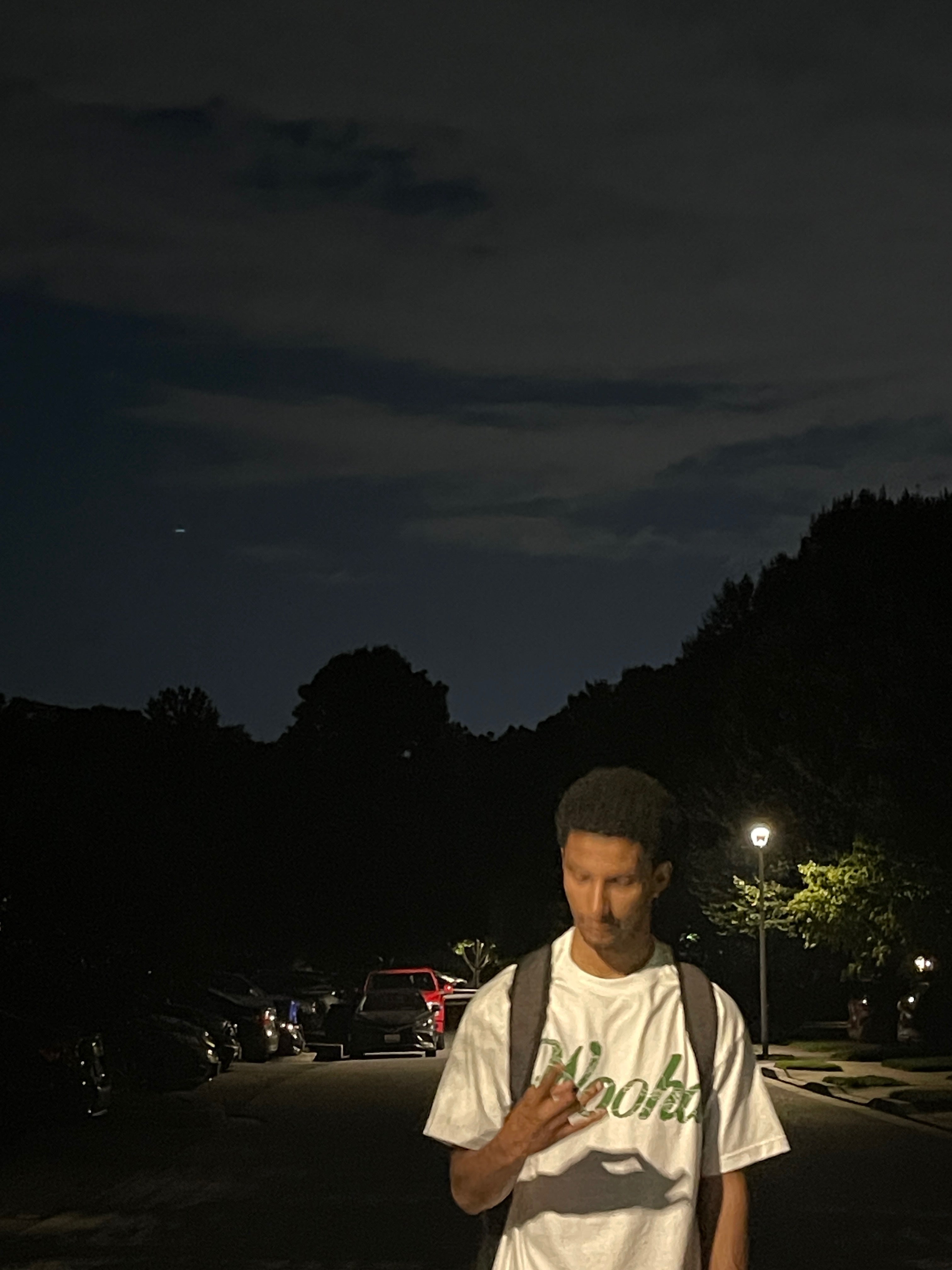 Laurel Map Tee